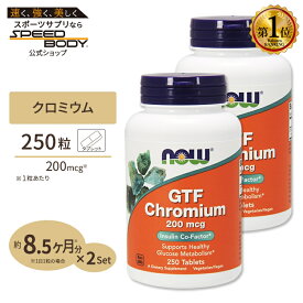[2個セット] GTF クロミウム 200mcg イーストフリー 250粒 NOW Foods (ナウフーズ)