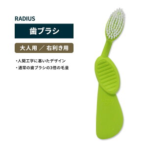 ���f�B�E�X �t���b�N�X�u���V ���u���V ���C�� RADIUS Flex Brush Right Lime �E���� ���݂��� �n�u���V �A���R�� ���ɗD���� �Đ��S�� �t���b�N�X�l�b�N