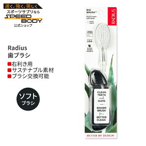 ���f�B�E�X �r�b�O �u���V �E��p �~�b�h�i�C�g�X�J�C Radius Big Brush Right Hand Midnight Sky ���u���V �\�t�g�� �E�����p