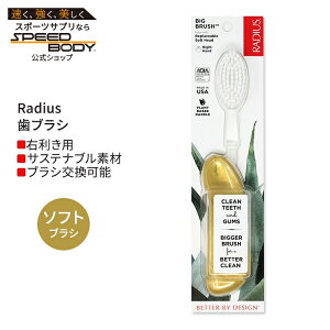 ���f�B�E�X �r�b�O �u���V �E��p �S�[���h�T�e�� Radius Big Brush Right Hand Gold Satin ���u���V �\�t�g�� �E�����p