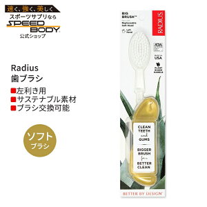 ���f�B�E�X �r�b�O �u���V ����p �S�[���h�T�e�� Radius Big Brush Left Hand Gold Satin ���u���V �\�t�g�� �������p