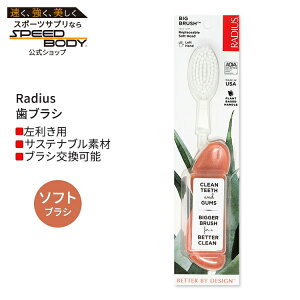 ���f�B�E�X �r�b�O �u���V ����p �V�[�V�F���R�[���� Radius Big Brush Left Hand Seashell Coral ���u���V �\�t�g�� �������p