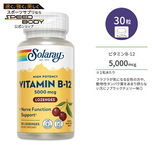 �\�����[ �r�^�~��B-12 5,000mcg �u���b�N�`�F���[�� �g���[�` 30�� Solaray Vitamin B-12 5000mcg