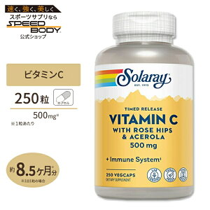 �\�����[ �^�C�������[�X �r�^�~��C 500mg �x�W�^�u���J�v�Z�� 250�� Solaray Timed Release Vitamin C VegCap�̒� �Ǘ� ���N �b�� �΍� �K��