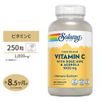 ソラレー ビタミンC ローズヒップ&アセロラ サプリメント 1000mg 250粒 Solaray Vitamin C with Rose Hips & Acerola 2段階タイムリリース型