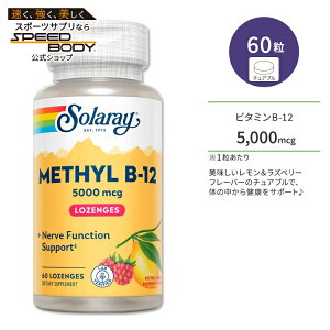 �\�����[ ���`�� �r�^�~�� B-12 5000mcg 60�� �`���A�u�� ���������Y�x���[�t���[�o�[ Solaray Methyl B-12 Lemon-Raspberry 60 Lozenges �T�v�������g �r�^�~��B B12 ������ ���Y�x���[ ��������