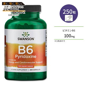 �X�����\�� �r�^�~��B6 (�s���h�L�V��) 100mg 250�� �J�v�Z�� Swanson Vitamin B6 Pyridoxine �T�v�� �w���X�P�A �X�L���P�A ���e