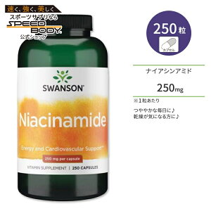 X\ v~A iCAVA~h 250mg JvZ 250 Swanson Premiun Niacinamide Tvg r^~B3 m[tbV tbVt[