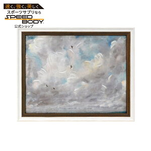 �r���[�e�B�t�� �o�C �h�����[�E�o�����A �L�����o�X�E�H�[���A�[�g �� ��48×38cm Beautiful Canvas Wall Art Birds 19in x 15in Drew Barrymore �y�����񂹏��i�z