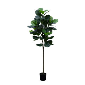 �y�E�H���}�[�g�u�����h�z���C���X�e�C�Y �l�H�t�B�h�����[�t�t�B�O�c���[ ��178cm �u���b�N�|�b�g Mainstays 70inch Artificial Indoor Fiddle Leaf Fig Tree in Black Pot �y�����񂹏��i�z