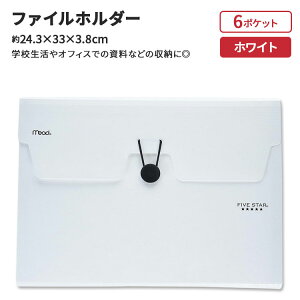 yő1400~OFFN[|zt@CuX^[ GNXpfBOt@Cz_[ 6|Pbg zCg Five Star 6 Pocket Expanding File vX`bN AR[fBIt@C wZ w ׋