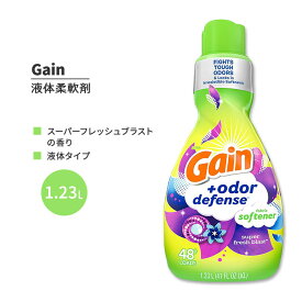 ゲイン オウダーディフェンス 液体 柔軟剤 スーパーフレッシュブラストの香り 1.23L (41 FL OZ LIQ.) Gain + Odor Defense Laundry Fabric Softener Liquid, Super Fresh Blast Scent
