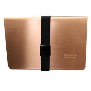 RiEBX ΍ y  100 }XNP[X zہEEہER / Y V