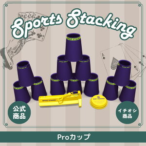 PS2x Satin Purple_02641yX|[cX^bLOWpFiz