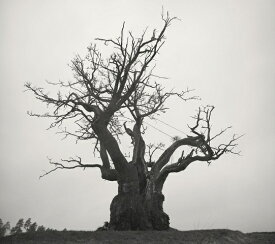 【新品】1週間以内発送　SEKAI NO OWARI 2010-2019 (初回限定盤 2CD＋LIVE BEST DVD) セカオワ 世界の終わり