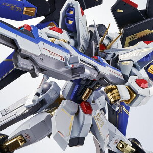 yVizy[zMETAL ROBOT SIDE MS XgCNt[_K_ 20th Anniversary Ver. @mK_ SEED DESTINY K_V[h 20N LO ʃo[W
