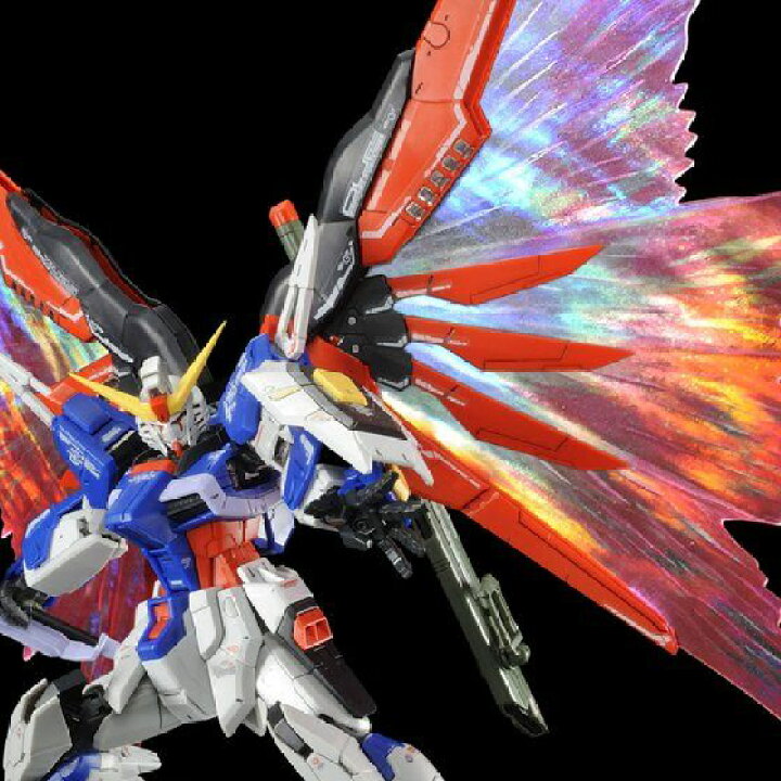 新品】【即納】【セット】 RG 1/144 デスティニーガンダム チタニウム 