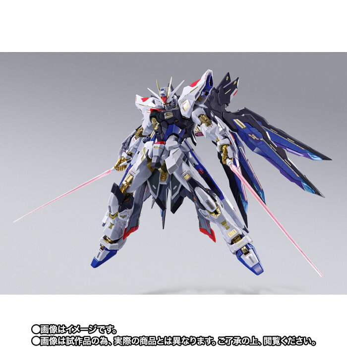 METAL BUILD Strike Freedom Gundam FESTIVAL 2024 Japan proxy shopping