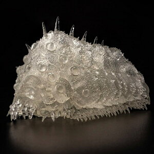 yViz1TԈȓ ^Pݒu ̒J̃iEVJ [] NAver. mXP[ PVCABS hς݊i ANVtBMA l(Sentinel) IE  I[ Wu 