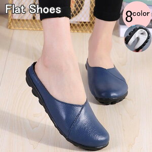 @JVtbgV[Y fB[X C V[Y JV tbgV[Y t tbg\[ [t@[ l ؂ ₷ l @oXNtg JVV