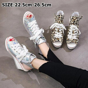 Xj[J[ fB[X T_@[Jbg Xj[J[@V[Y@C@ Vv 킢 y C JWA TCY 傫TCY@Xj[J[ fB[X C Lo