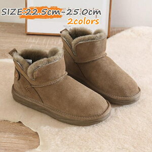 yN[|p500~OFFz [gu[cV[Y XlC [gu[c ɂ 芴 fB[X C@V[gu[c fB[X ₷ ɂȂ ₷  R