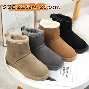 yN[|p500~OFFz [gu[cV[Y XlC [gu[cfB[X ɂ fB[X C@V[gu[c fB[X ₷ ɂȂ ₷  