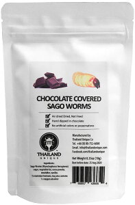 �y5��20�� �ő�4��OFF�N�[�|����P�ő�10�{�z �W�F�C�A�[�����j�[�N JR Unique Chocolate coated Sagoworms �`���R���[�g�T�S���[�� �X�|�[�c TIU2004