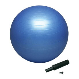 【6月27日2時まで 最大3％OFFクーポン＆P最大10倍】 ハタ HATAS バランスボールセイフティー55cm ポンプ付 バランスボール 体幹 トレーニング エクササイズ 宅トレ 家トレ 筋トレ DB55P