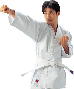 y12320 Si5OFFN[|Pő10{z NTN KUSAKURA N11 蒅6 R2C6 iZ  wZ ̈  g[jO K m  K jq q R2NC6