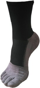 y12320 Si5OFFN[|Pő10{z A[YR[g EARLSCOURT TbJ[ A[YNANO\bNX5{w EC-A021 ECA021 002