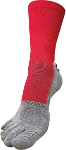 y11272܂ ő4OFFN[|Pő10{z A[YR[g EARLSCOURT TbJ[ A[YNANO\bNX5{w EC-A021 ECA021 004