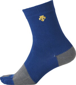 y121 ő4OFFN[|Pő10{z fTg DESCENTE 5{wV[g\bNX C8702B ROY