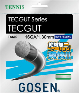S[Z GOSEN ejX ebNKbg TECGUT16 zCg dejX Kbg XgO  `[ VjA fB[X Nu g[jO TS600W