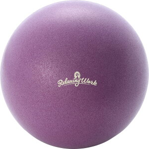 y1130 ő4OFFN[|Pő10{zn^` HATACHI XbLRA{[20cm NH3601