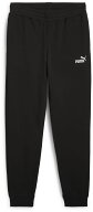 【5月16日2時まで 最大4％OFFクーポン＆P最大10倍】 プーマ PUMA ESSNO.1ロゴ スウェット パンツTRCL ロ…