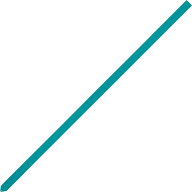 【9月11日2時まで 全品5％OFFクーポン＆P最大10倍】 ササキ SASAKI 新体操 ビビット 5m リボン 国際体操…