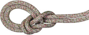 �y5��20�� �ő�4��OFF�N�[�|����P�ő�10�{�z �}���[�g MAMMUT �A�E�g�h�A 9.5CRAGWECARECLASSICROPE50M ���[�v �V���O�� �n�C�L���O �g���b�L���O �N���C�~���O �o�R �}�E���e�j�A�����O 2010-06140 201006140