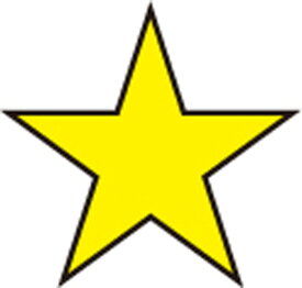 【11月14日10時から 最大4％OFFクーポン＆P最大10倍】 FOOTMARK フットマーク スイミング 星マーク 10枚入り 水泳 プール 水着 マーク グループ分け レベル分け 泳力マーク 水泳帽 スイムキャップ スイミングスクール カラーマーク マジックテープ 101701 02