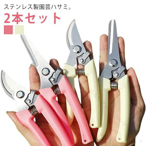 p A Ԃ΂ XeX ^ Ԑ؂΂ K[fjO ΂ }؂͂ ԋ y SbNt ₷ 2{Zbg |p ԉ  ؉ ϗt  A ʎp 