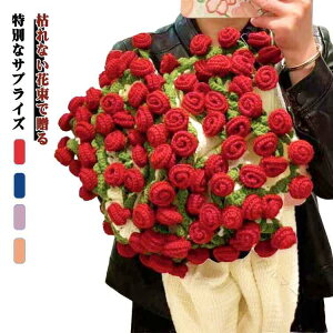 ԑuPbg 160cm 唻 99փo ͂Ȃ u[PuPbg jbg ѕz j҂ 􂦂 }`Jo[ \t@Jo[ xbhJo[ v[gp a o^C Mtg 