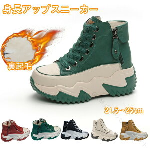 Xj[J[ 7cmq[ gAbv fB[X C [XAbv ҂ݏグ nCJbg Cq[  C V[Y JWA   g h ϖ ۉ ʋC