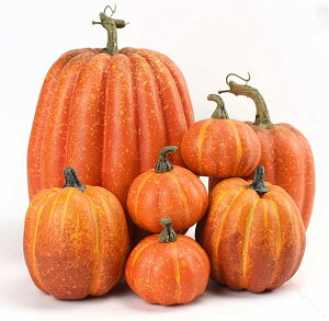 nEB 7PCS ڂ ܂ŎlTCYgݍ킹 Uڂ V~[VpvL nEBڂu LrlbgfBXvC p[eB[ӍՋG