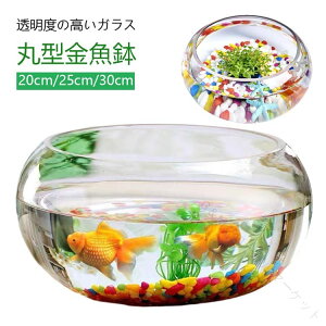 x ی^  ^ 琅 ~j KX _J   ۔  x^ _J ԕr t[x[X a  e[up ANAE{E ϗtA