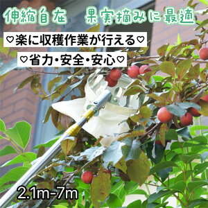 t[csbJ[ }؂΂ Lk } y x[sbJ[ ʎp 蓮 ʕ sbLOc[ ʕLb`[ }p |p K[fjOc[ nc[ K[f