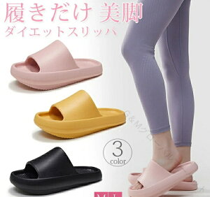 Y fB[X oX _CGbg C T_ Xbp y ̊  K r _CGbgT_ K EH[LOΉ _CGbgXbp