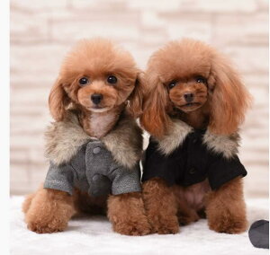   ybgEFA H ~ p ۉ t@[ݕt h  ^ ^ Ή ybgp p  L s o| UɍœKȖh