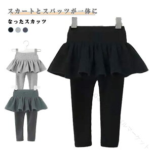 XJ[g H~ MXpc LbY XJ[g XJbc xr[ ̎q10 XJ[gtMX Xpbc n 킢 tXJ[g  Vv q ǂ {gX 