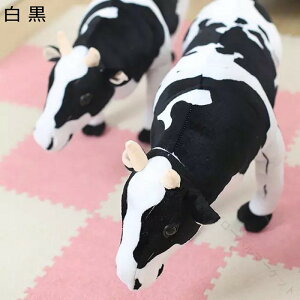 ʂ  70x35cm ё { A u YQ 傫 ʔ  ObY Aj} ӂ _炩 CeA X a v[g ŋ Be