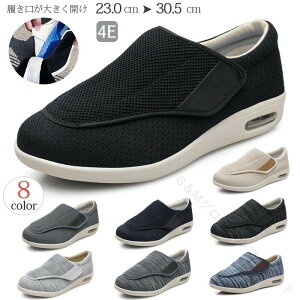 Y fB[X C RtH[gV[Y Xb|  ubN O[ L 4E y  nrC AaΉ NV[Y ₷݌v ₷C